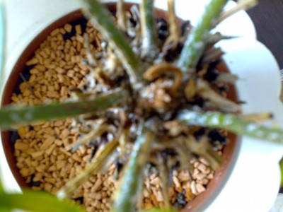01072008678.jpg