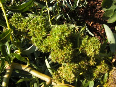 BILD0598.JPG