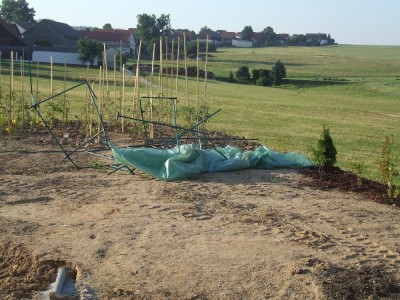 Sturmschaden Gewächshaus.JPG