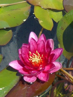 P1000445.JPG