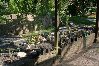 garten2.jpg