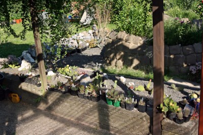 garten1.jpg