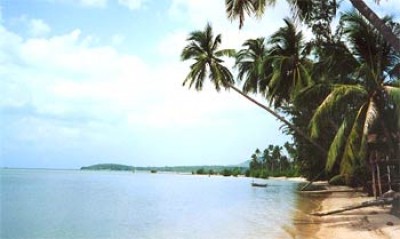 ko-phanang-strand-mit-palmen.jpg