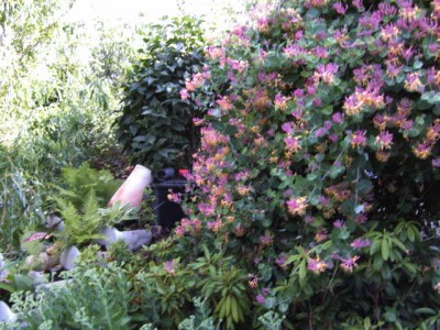 BILD0510.JPG