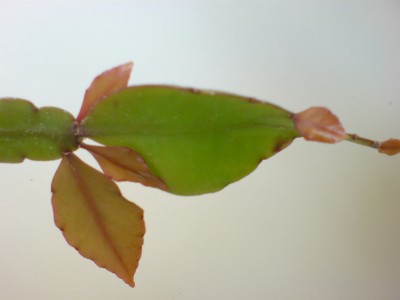 DSC00712.JPG
