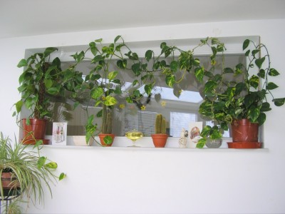 wintergartenfenster.jpg