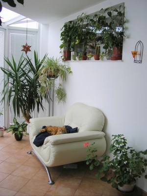 wintergartengina.jpg