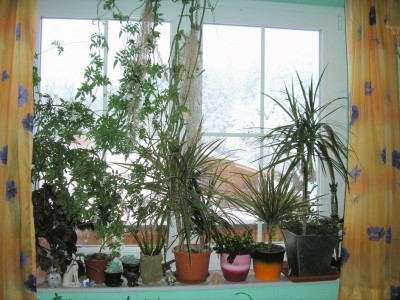 zimmerfenster.jpg