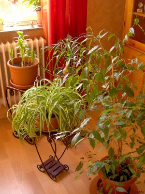 Wohnzimmer_600x800.JPG