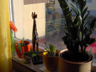 Schlafzimme_S%FCdfenster_600x450.JPG