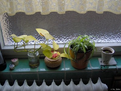Bad_Ostfenster_600x450.JPG
