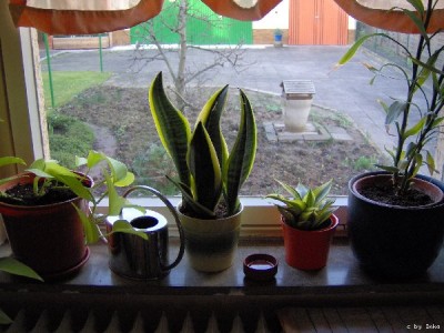 K%FCche_Nordfenster_600x450.JPG