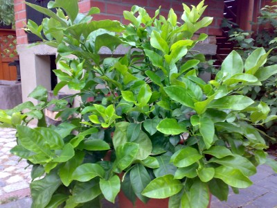 06072008326.jpg
