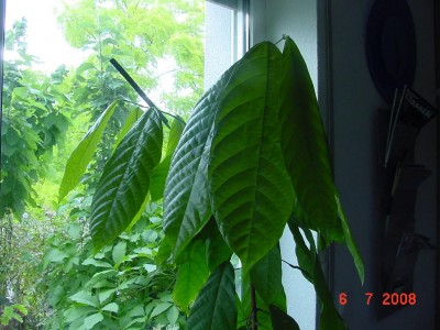 060708.jpg