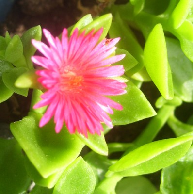 Bild 018m.jpg