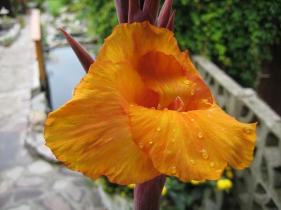 Img_3015.jpg