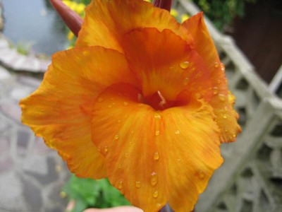 Img_3014.jpg