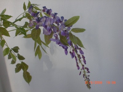 Fotos 012.jpg