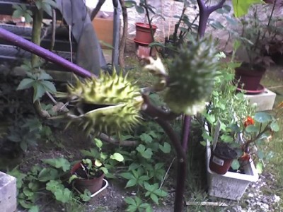 25-08-07_1643.jpg