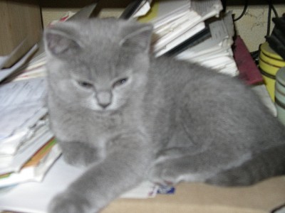 IMGP3504.JPG