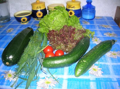 DSCN3482.JPG