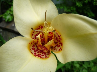 Kopie von Bild 169.jpg