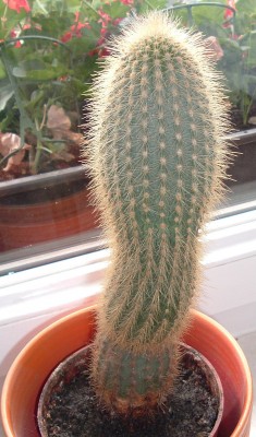 Bild1.JPG