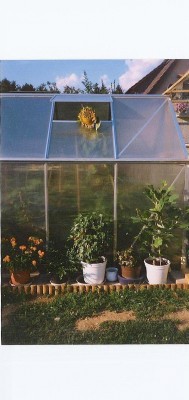 Gewächshaus 001.jpg