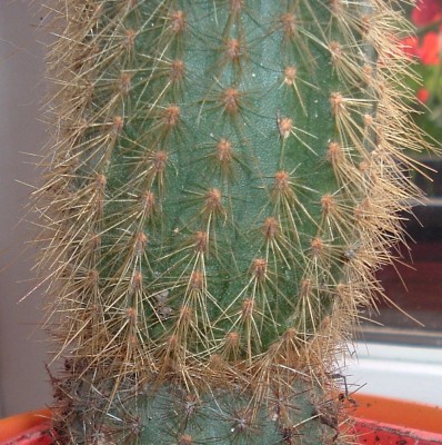 Oktober2008_0714.JPG