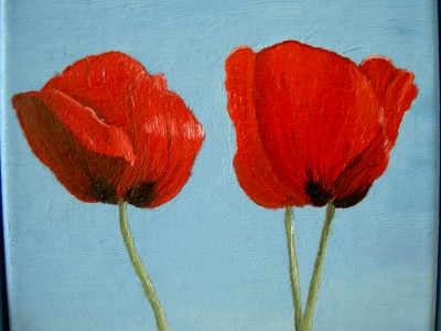 mohn3.JPG