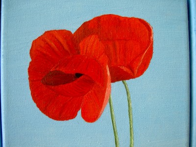 mohn2.JPG