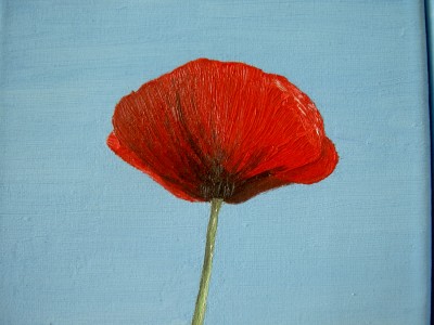 mohn1.JPG