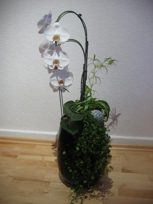 th_IMG_0063.jpg