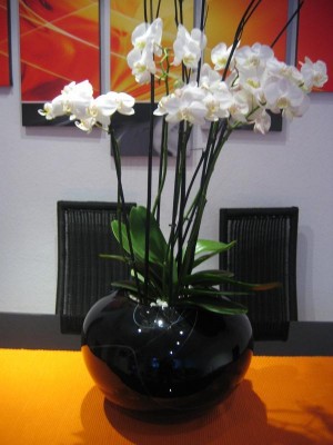 th_IMG_0062.jpg