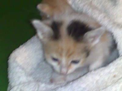 Photo neu 910.jpg