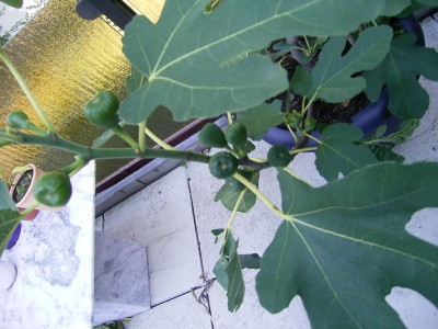 RIMG0139.JPG