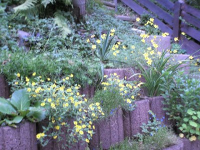 14.10.2006 022.jpg