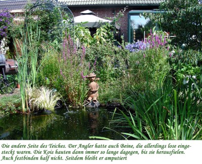 Teich Richtung Haus w.jpg