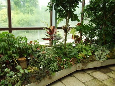 DSCF4401.JPG