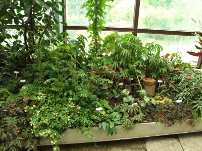 DSCF4400.JPG