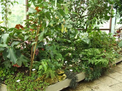 DSCF4399.JPG