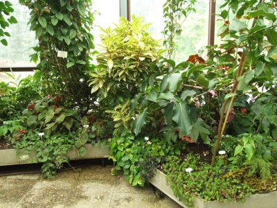 DSCF4398.JPG