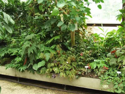 DSCF4397.JPG
