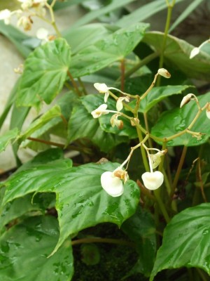 DSCF4406.JPG