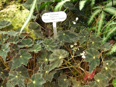 DSCF4420.JPG