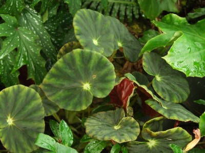 DSCF4430.JPG
