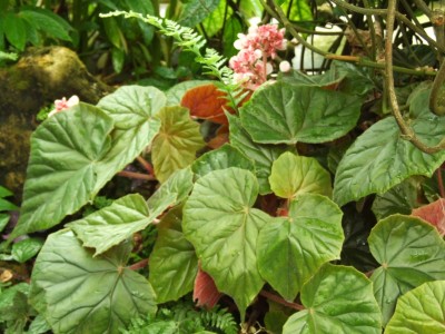 DSCF4453.JPG