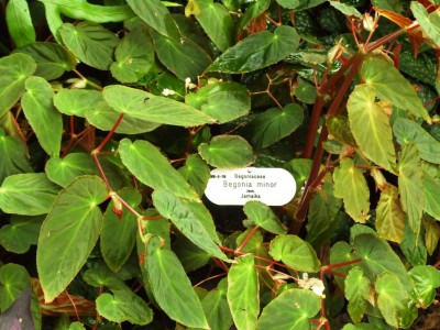 DSCF4461.JPG