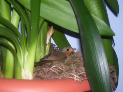 Bild 044m.jpg