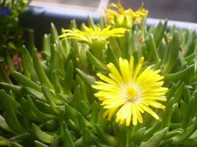100_2674m.jpg